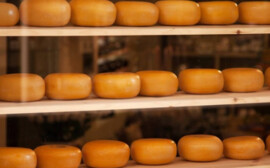 В Красноярском крае на 2,4% выросло производство молочной продукции
