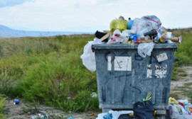 В Красноярске на ликвидацию свалок потратят 3 млн рублей