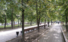 В Красноярске 10 млн рублей направят на благоустройство бульвара на Краснодарской