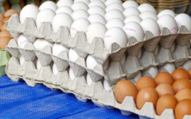 В Красноярском крае нарастили объем производства продуктов питания
