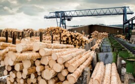 Segezha построит в Красноярском крае целлюлозный комбинат за $3 млрд