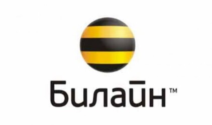 «Билайн» рассказал студентам как добиться успеха
