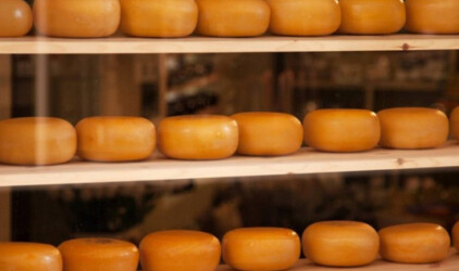 В Красноярском крае на 2,4% выросло производство молочной продукции