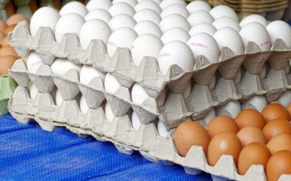 В Красноярском крае нарастили объем производства продуктов питания